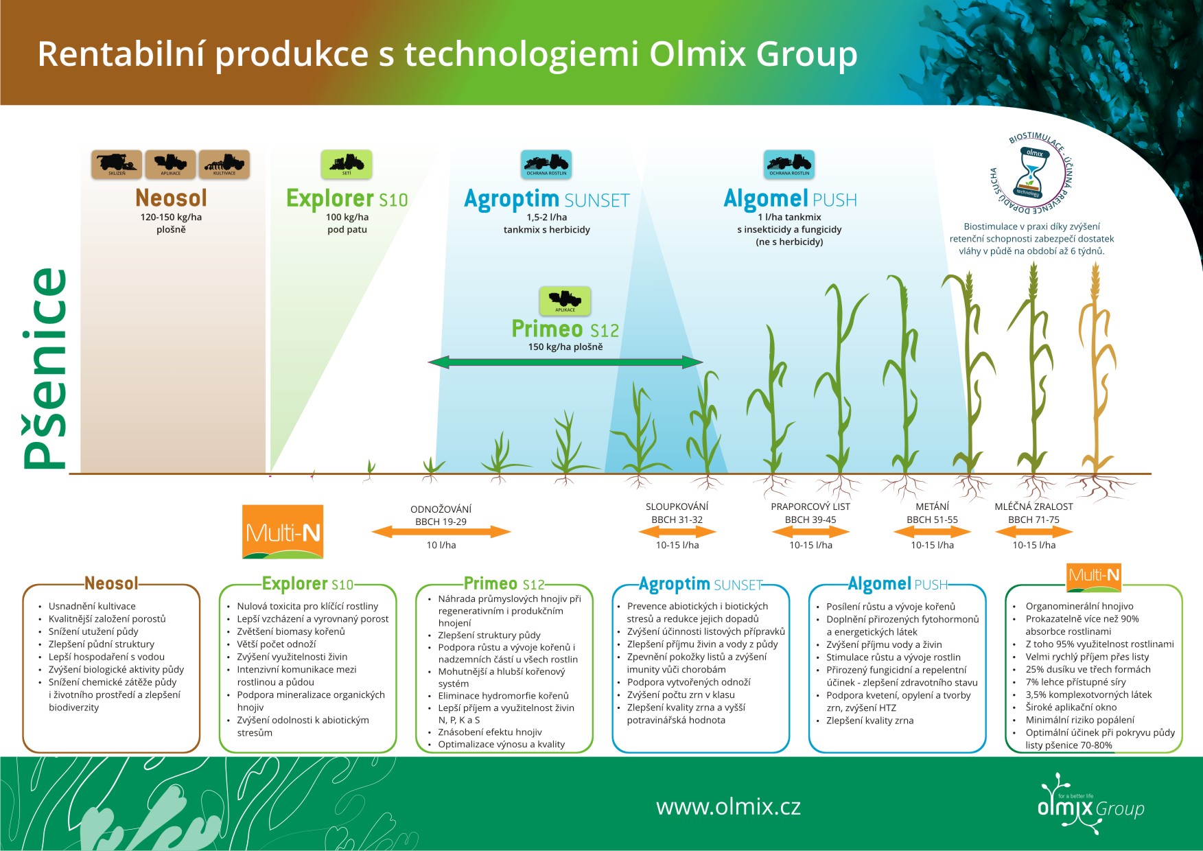 Olmix Group